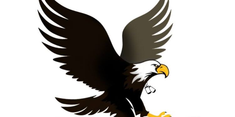 For Veterans Sake Logo Design